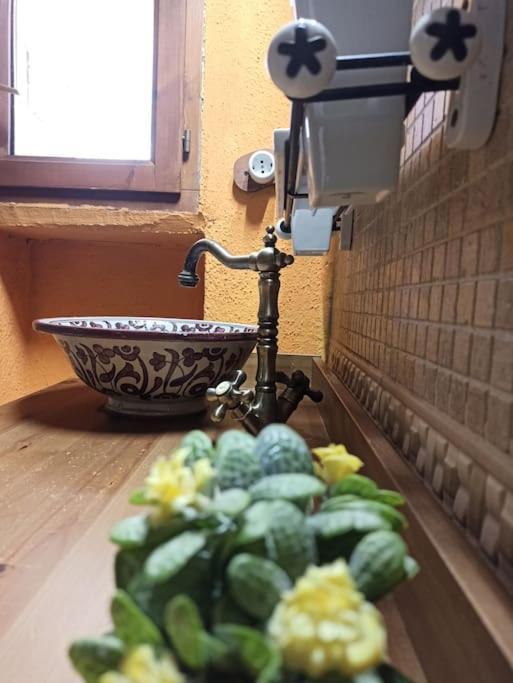 Raco Del Trinquet Villa Arboli ภายนอก รูปภาพ